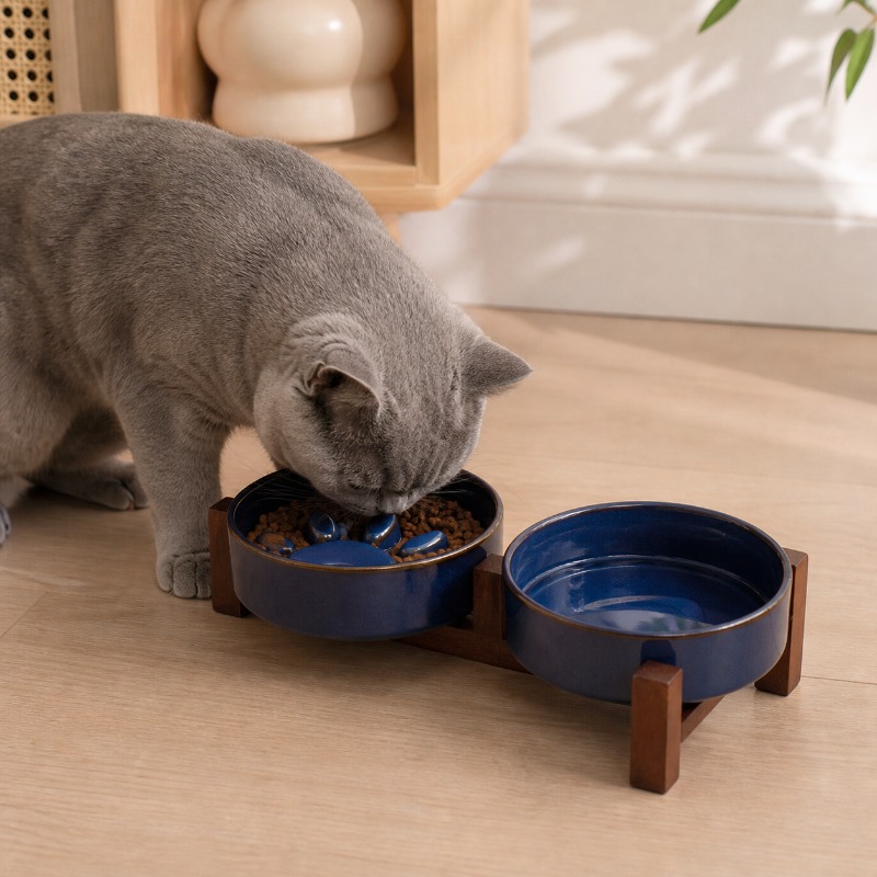 Tigela de Cerâmica Estilo Japo - Royal Canin Food Medium avaliação e preço
