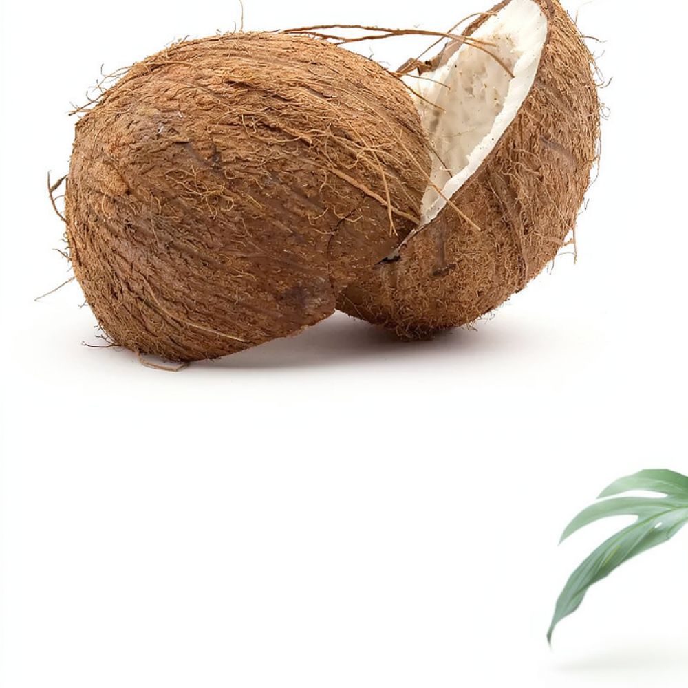 Substrato de Solo em Tijolo de - Substrate Coconut Fiber avaliação e preço