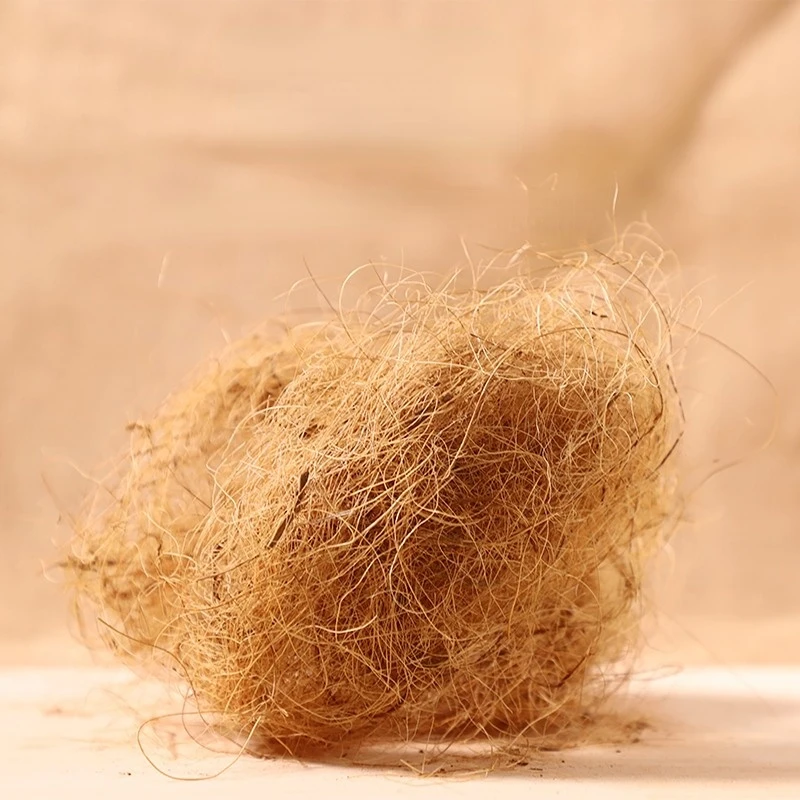 Substrato de Fibra de Coco Sol - Substrate Coconut Fiber avaliação e preço