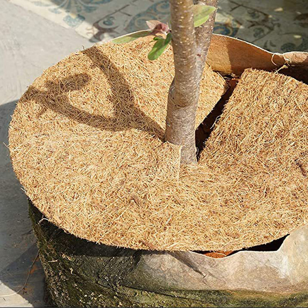 Tapete de Fibra de Coco Natura - Substrate Coconut Fiber avaliação e preço