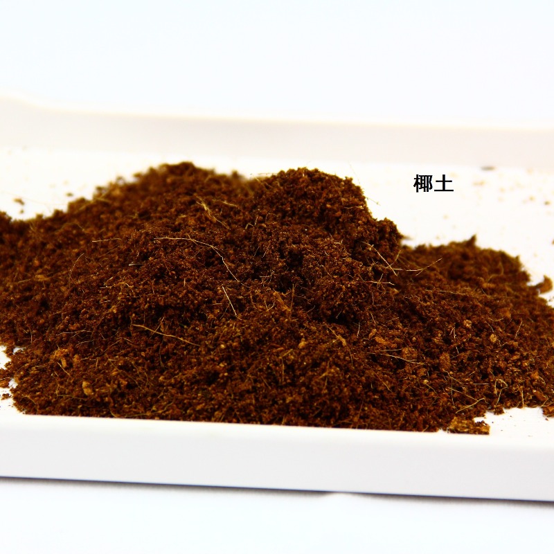 Substrato de Solo de Coco para - Substrate Coconut Fiber avaliação e preço
