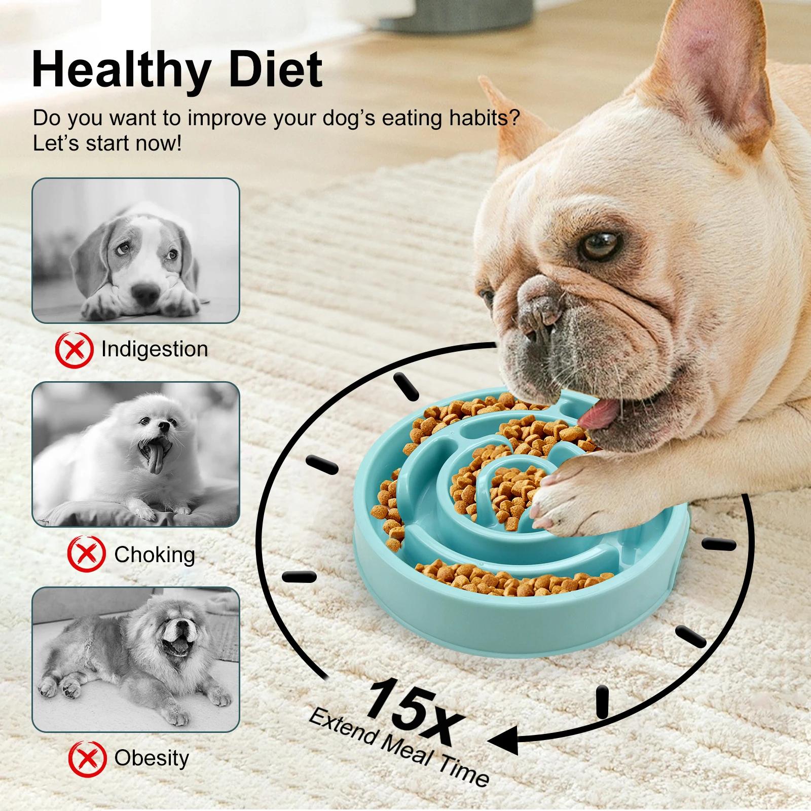 Tigela de Alimentação Lenta pa - Royal Canin Food Medium avaliação e preço